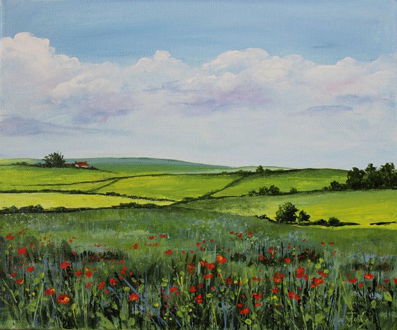 Poppies in the Wheat Fields