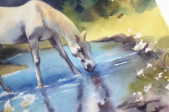 White Horse / Mountain Stream