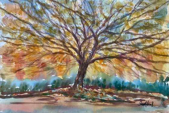 The tree by Stourhead lake