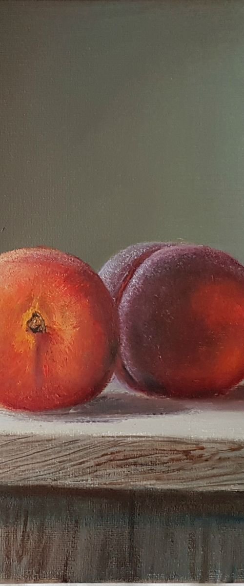 Twins by Diana Janson