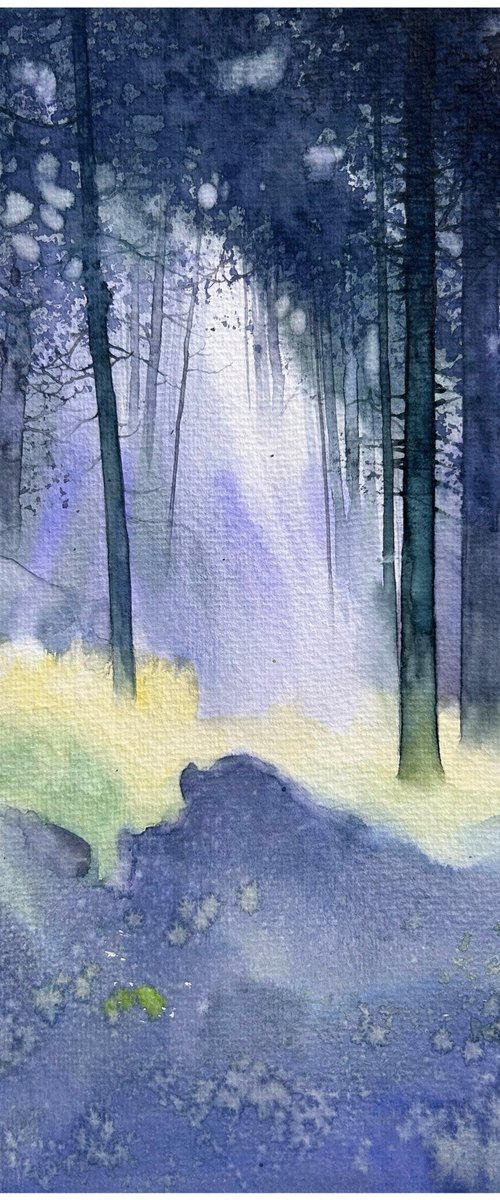 Morning glory by Nazar Grunyka