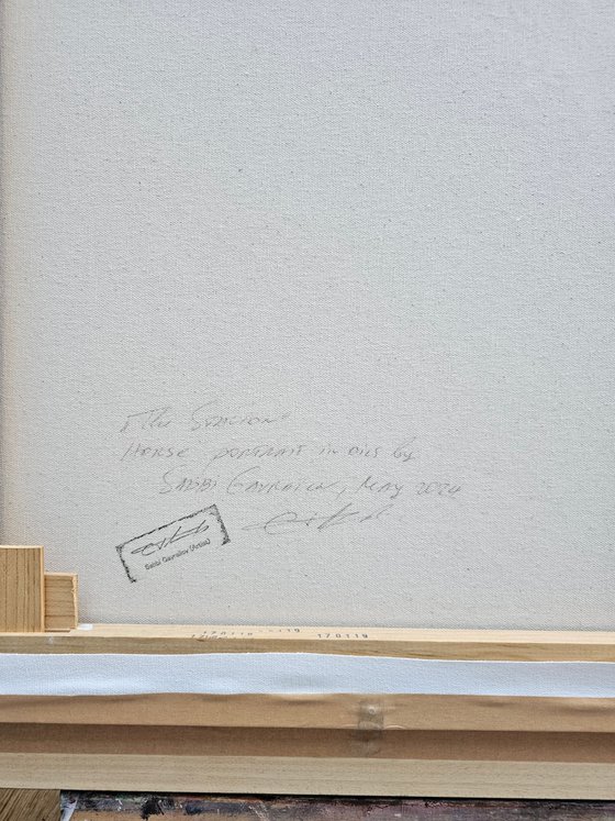 Stallion-Original Horse Portrait