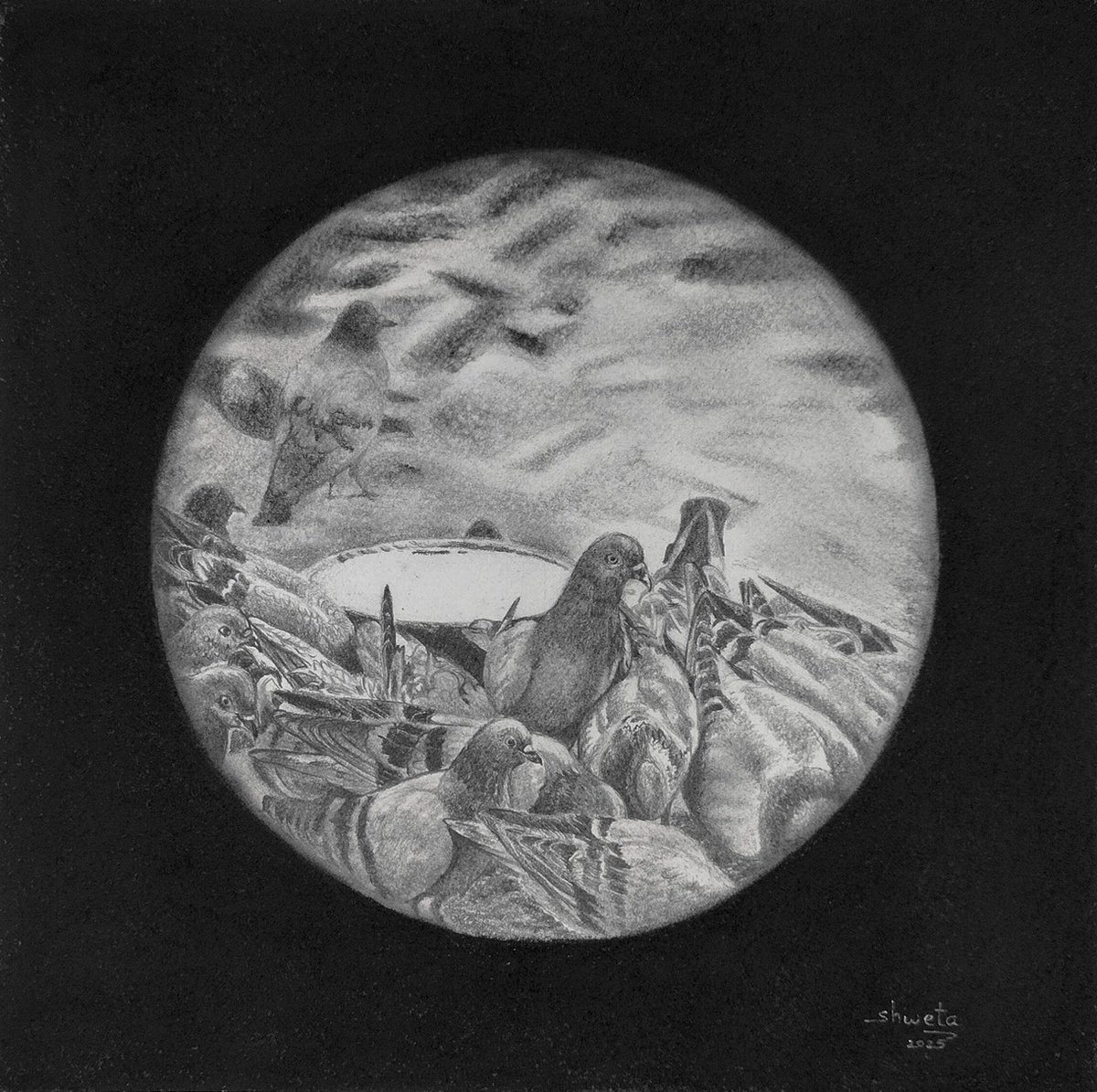 Photorealistic Animal Pencil Drawing By Shweta Mahajan, 10 X 10", Rock Pigeons, Original Artwork