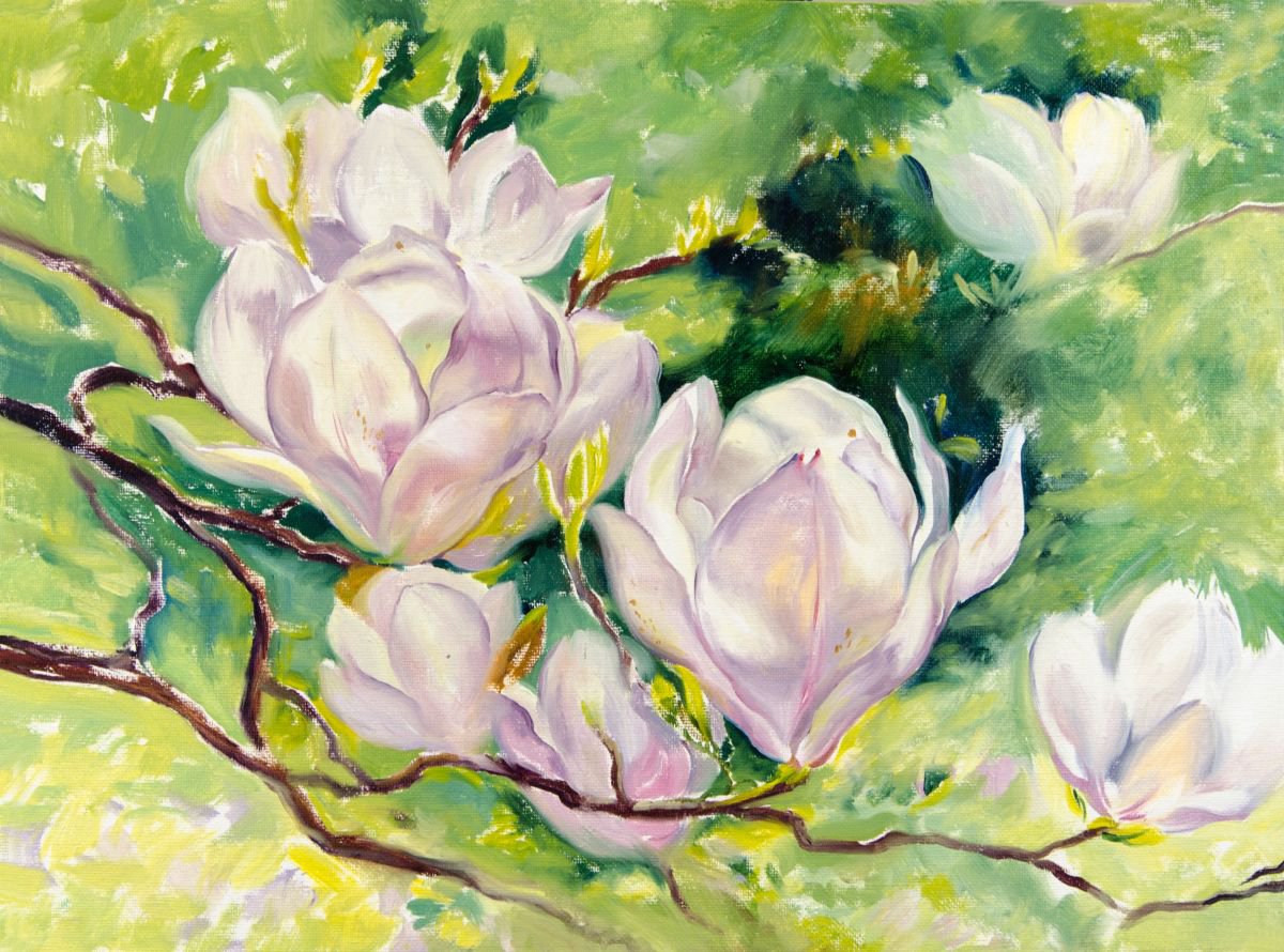 Magnolia Blossom Oil Painting By Daria Galinski | Artfinder