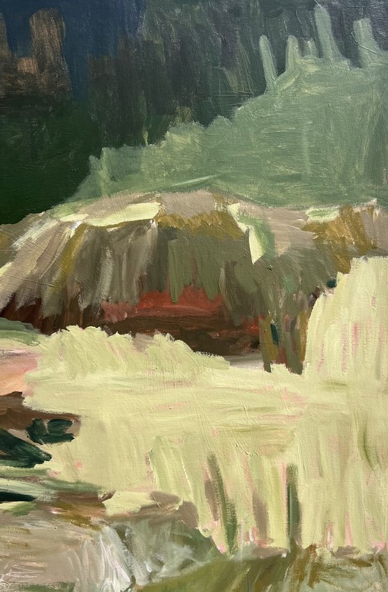 Olive Groves