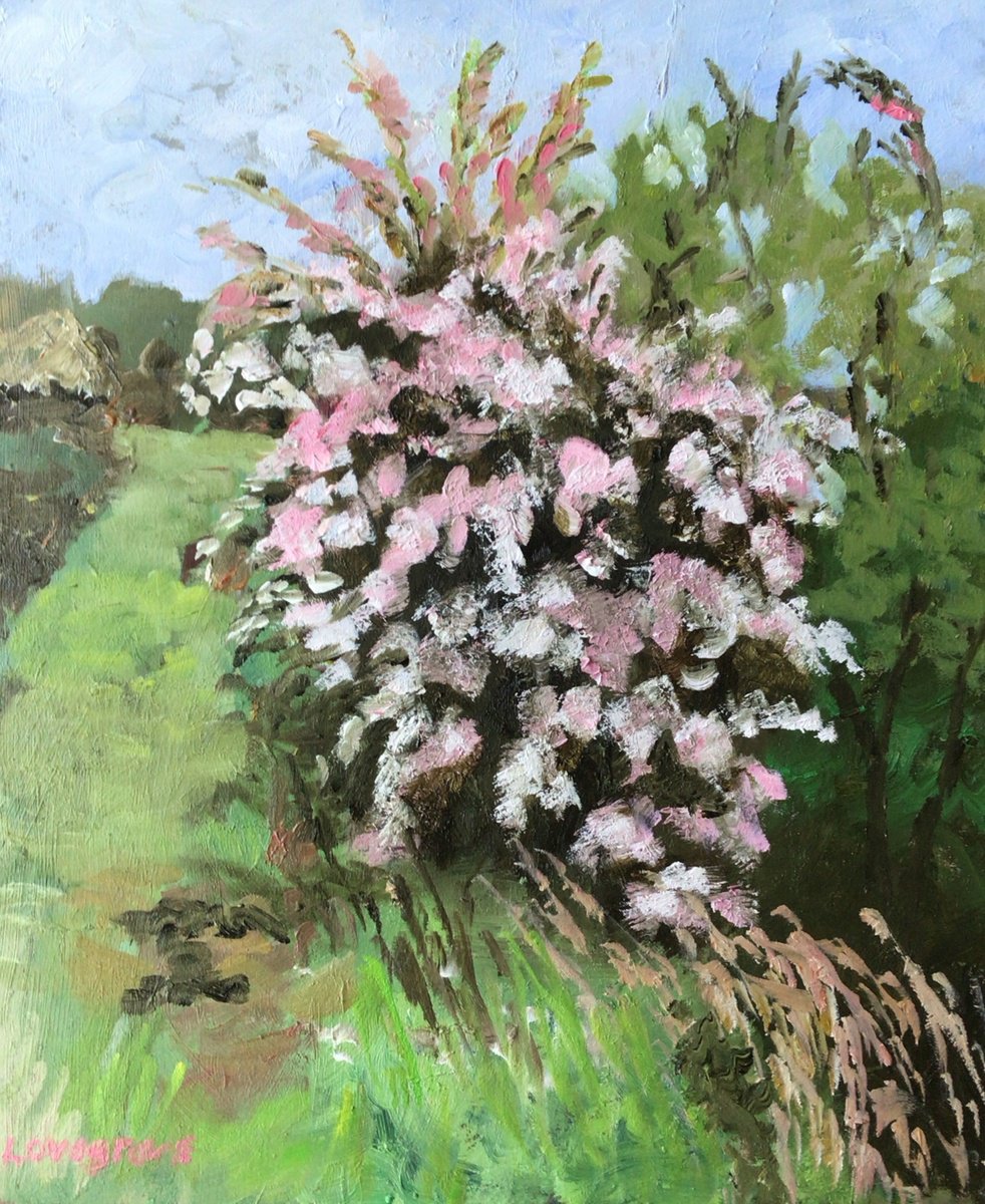 Impressionistic Botanical Oil Painting By Julian Lovegrove Art, 10 X 12", Wild Hawthorns, Original Artwork