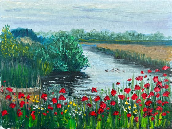 Red poppies by the water. Pleinair painting