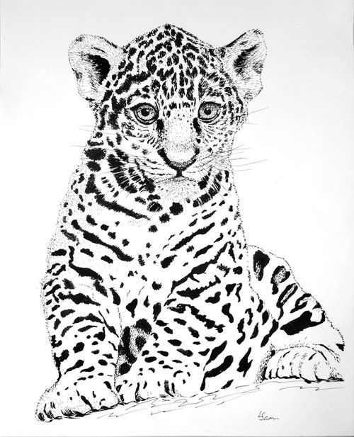 Cute jaguar cub by Liubov Samoilova