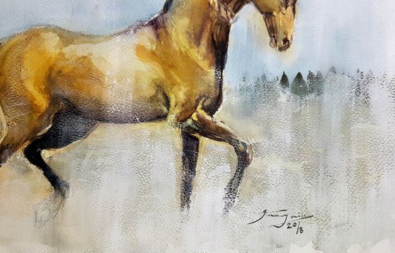 Akhal Teke 5