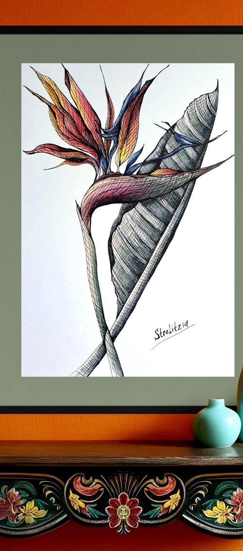 ORANGE STRELITZIA DRAWING by Maria Tuzhilkina