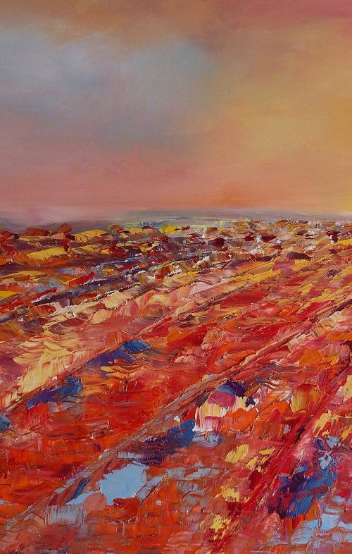 SummerFields by Lesley Blackburn