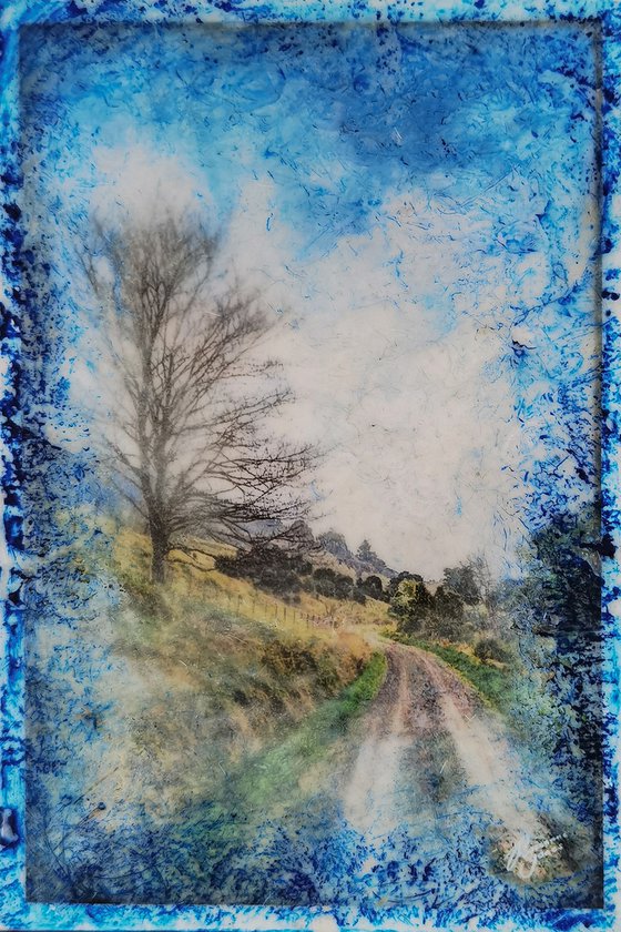 Way Home (Colour)