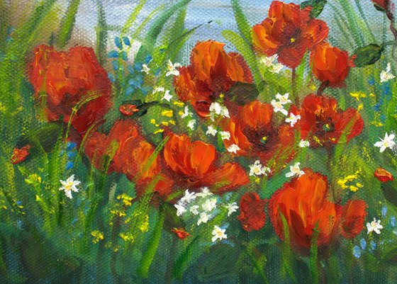Poppies by the sae