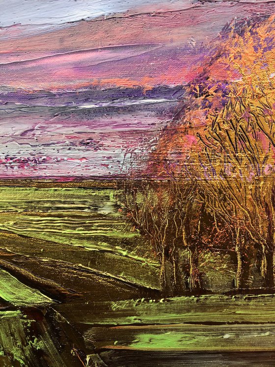 Anatomy of a Landscape 1