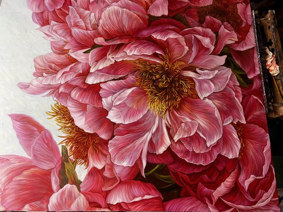 Composition of red peonies