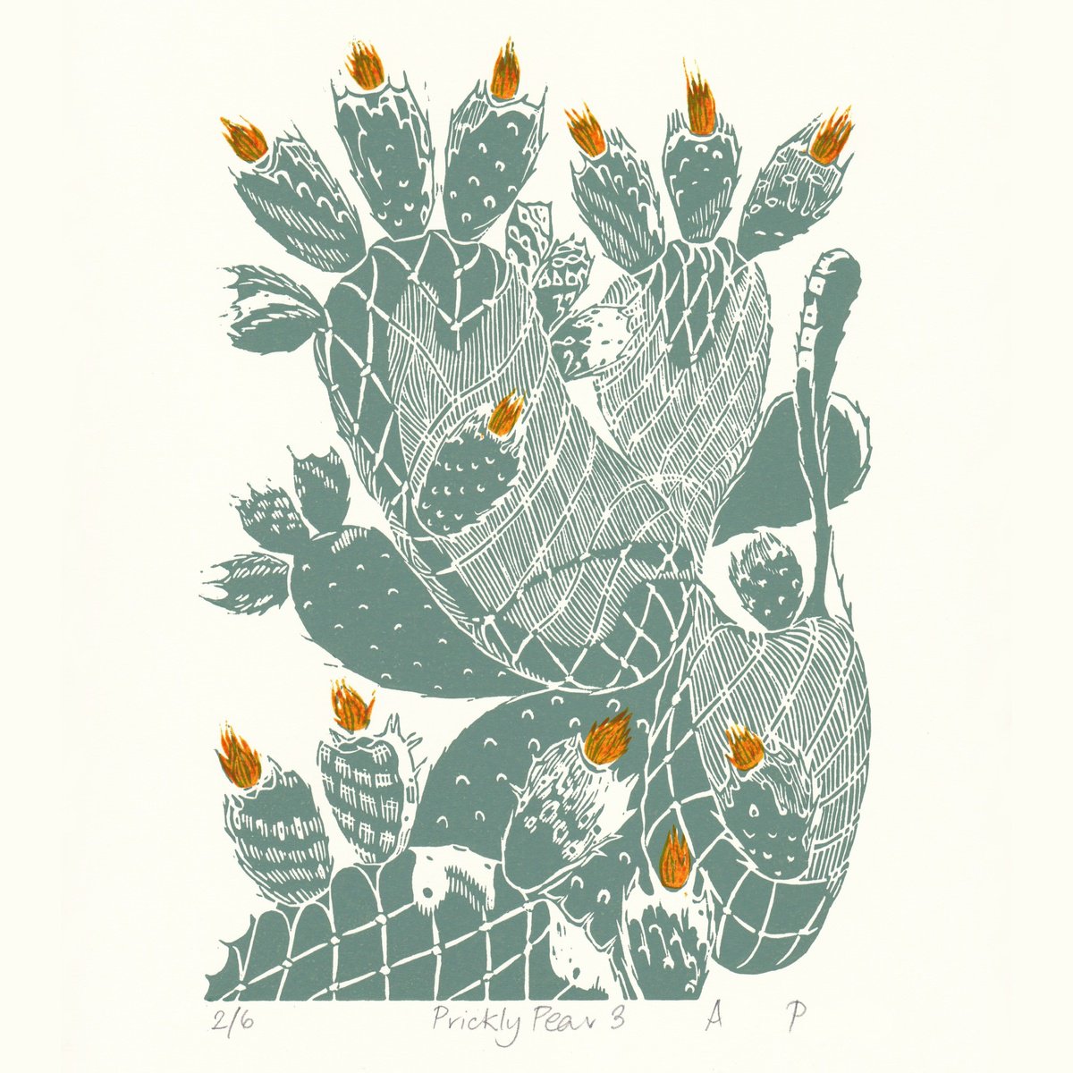 Prickly Pear 3 by Alison Pearce