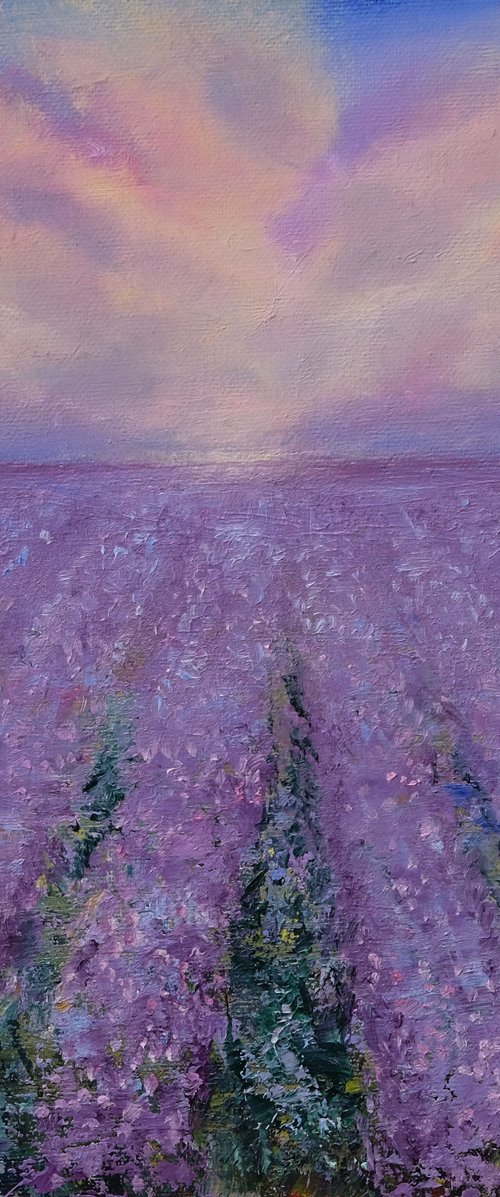 The lavender field. by Anastasia Woron