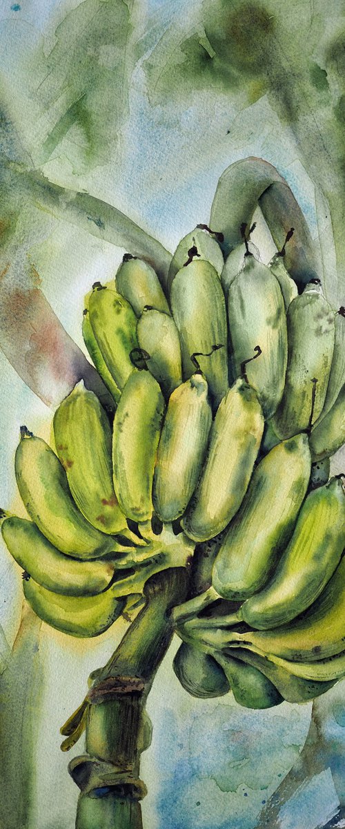 Bananas by Delnara El