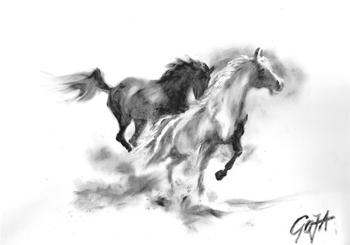 FREEDOM - RUNNING HORSES by Nicolas GOIA