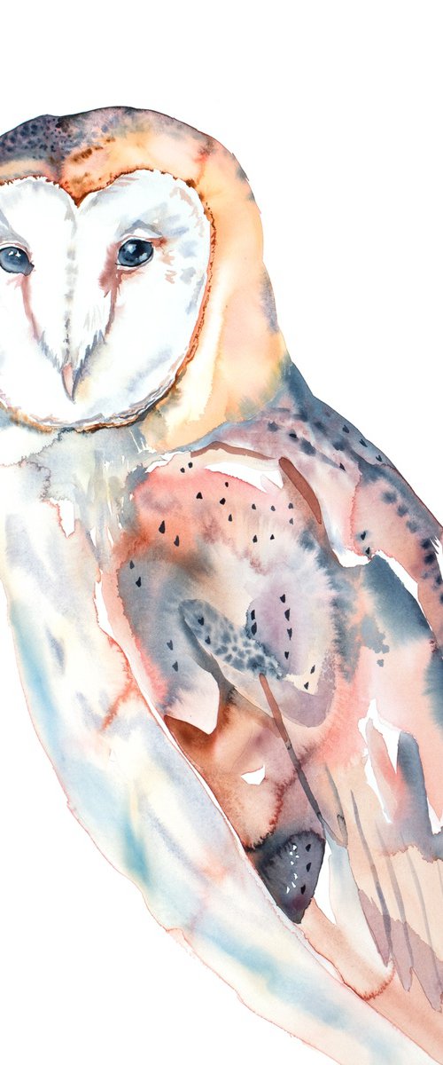 Barn Owl No. 7 by Elizabeth Becker