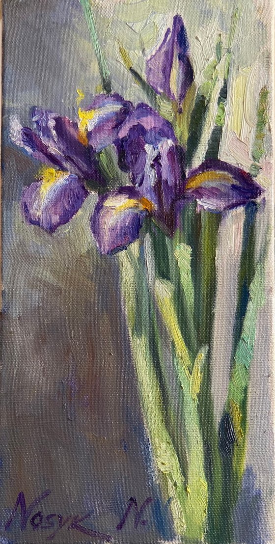 Violet irises