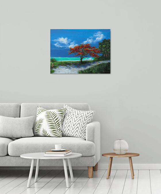 Flamboyan Tree