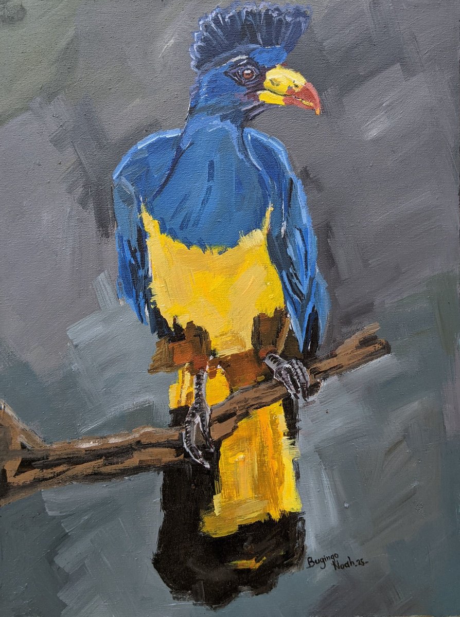 Impressionistic Animal Acrylic Painting By Bugingo Noah, 12 X 16, Rwenzori Turaco, Original Artwork