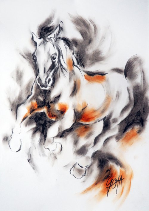 HORSE by Nicolas GOIA