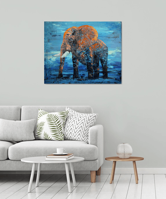 Elephant meets the dawn