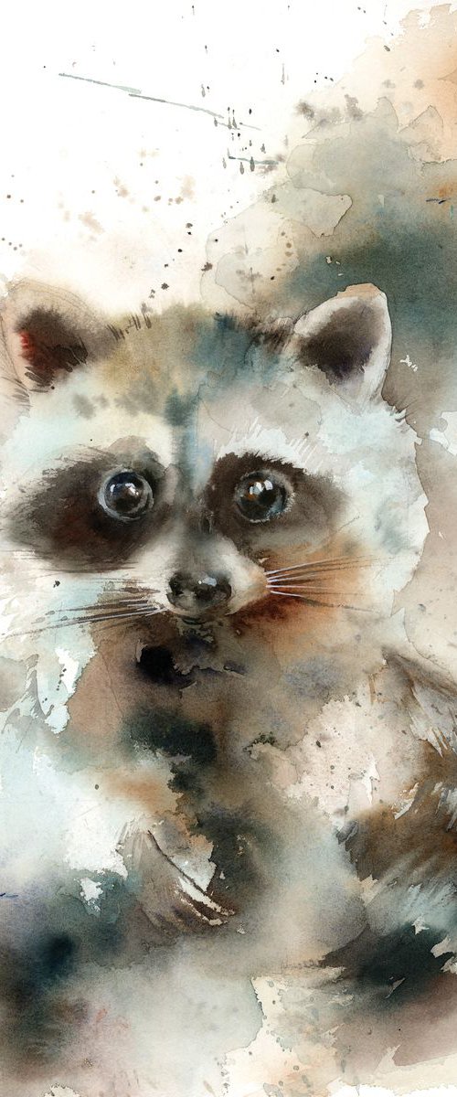 Raccoon Watercolor Painting by Sophie Rodionov