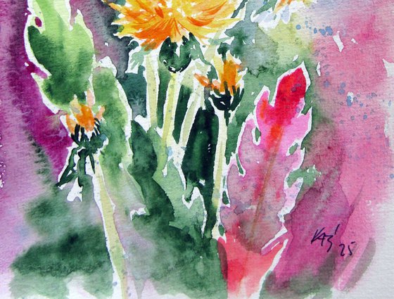 Dandelions