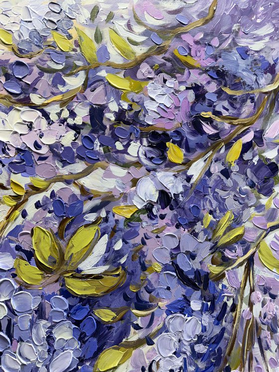 Wisteria