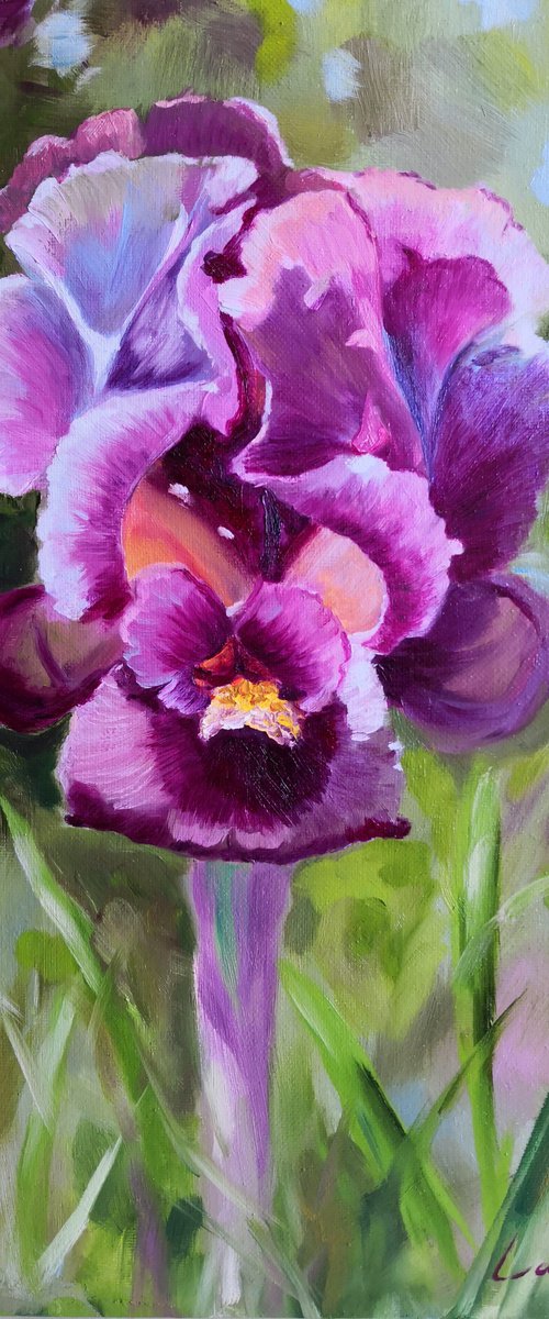 Purple iris in the garden, iris flower Painting by Jane Lantsman