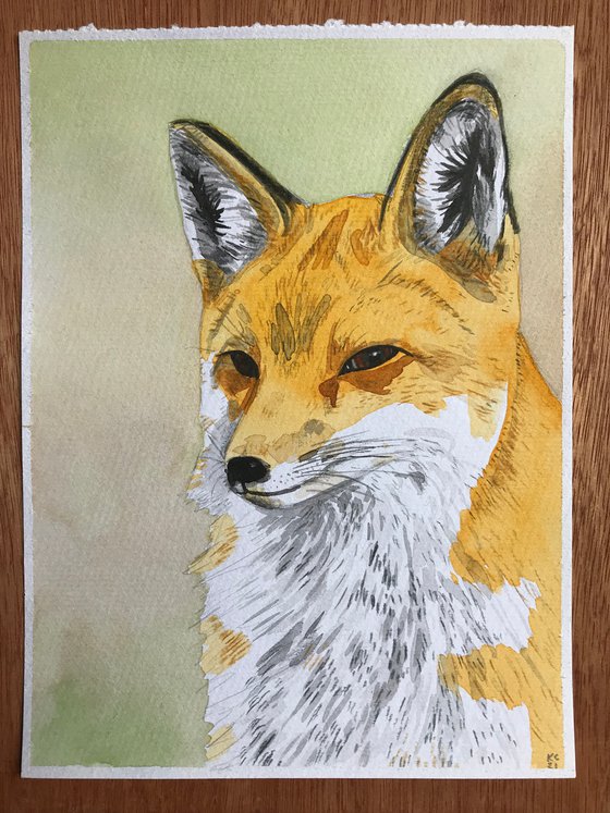 Fox