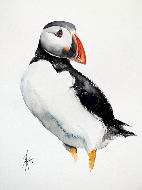 puffin by Andrzej Rabiega