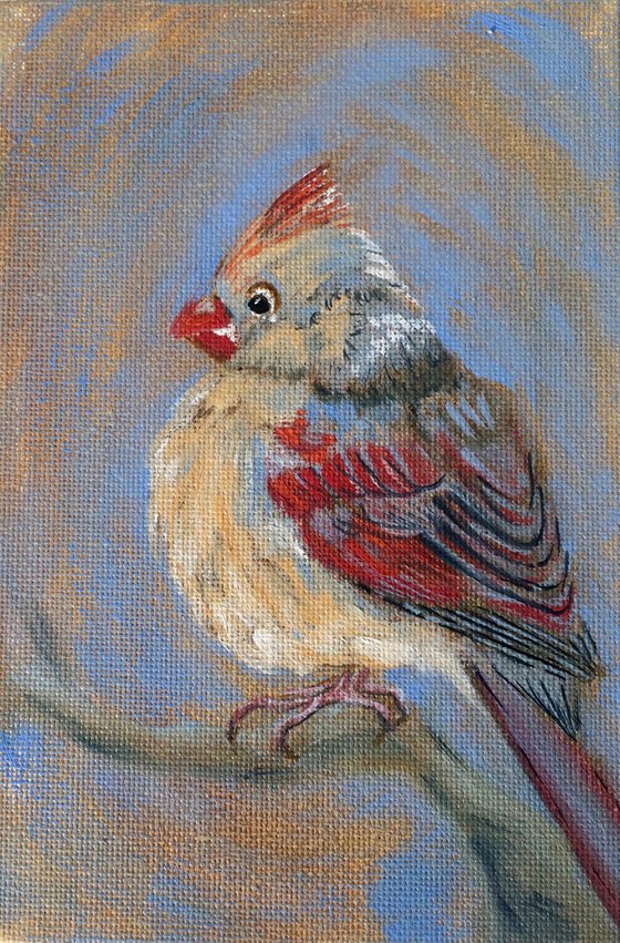 Bird portrait of a cardinal female - Framed shelf painting - Gift idea for bird lover