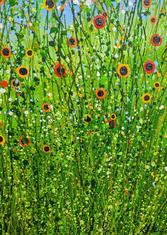 A Symphony Of Poppies #4