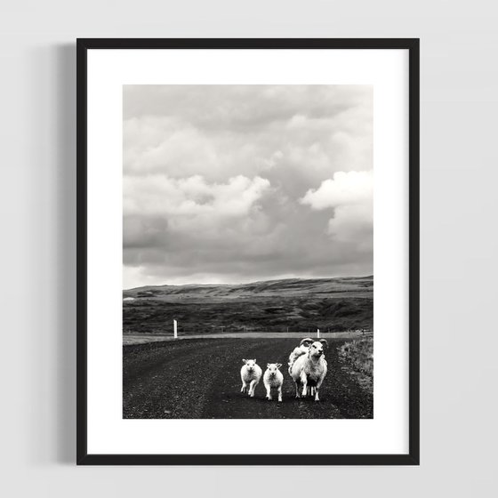 ICELAND TRAFFIC