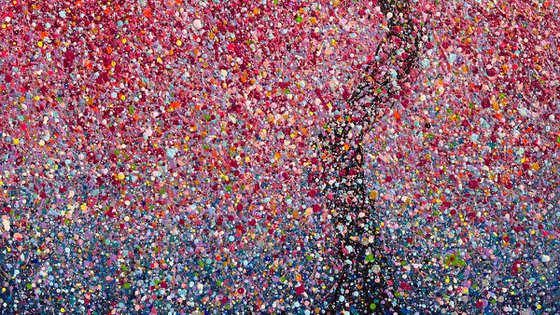 Softly, the Spring Speaks - framed