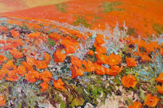 Valley of Poppies, California