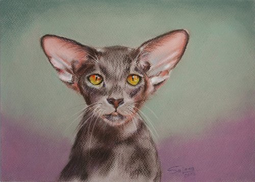 Portrait of Cat II /  ORIGINAL PAINTING by Salana Art Gallery