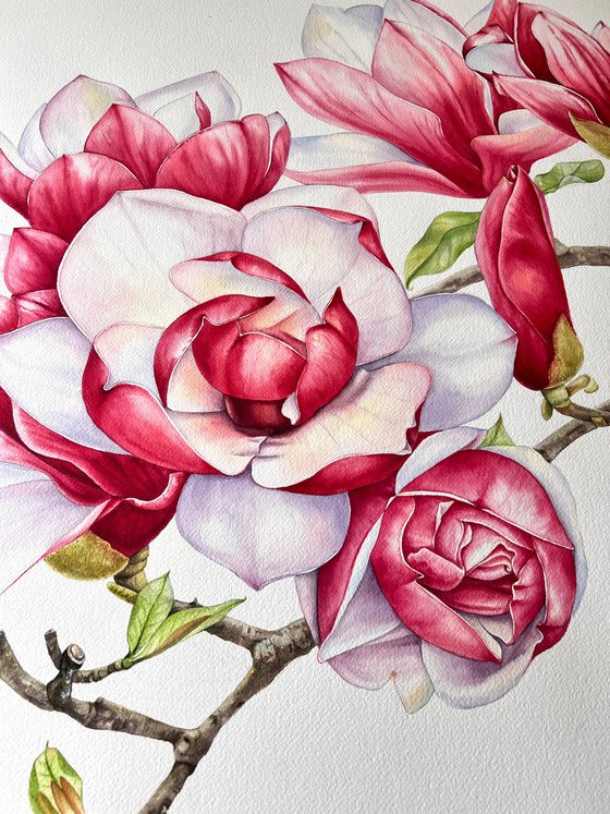 "Between tenderness and strength"