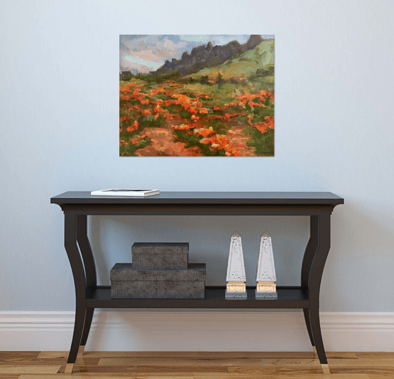 Desert in Spring