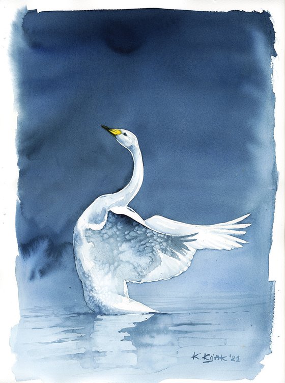 Whooper swan, wildlife, birds watercolours