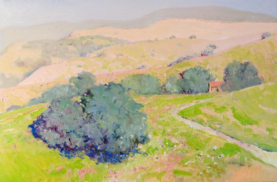 Summer. California Mountains