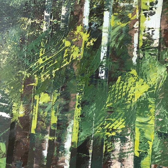 Shade in the Evergreens