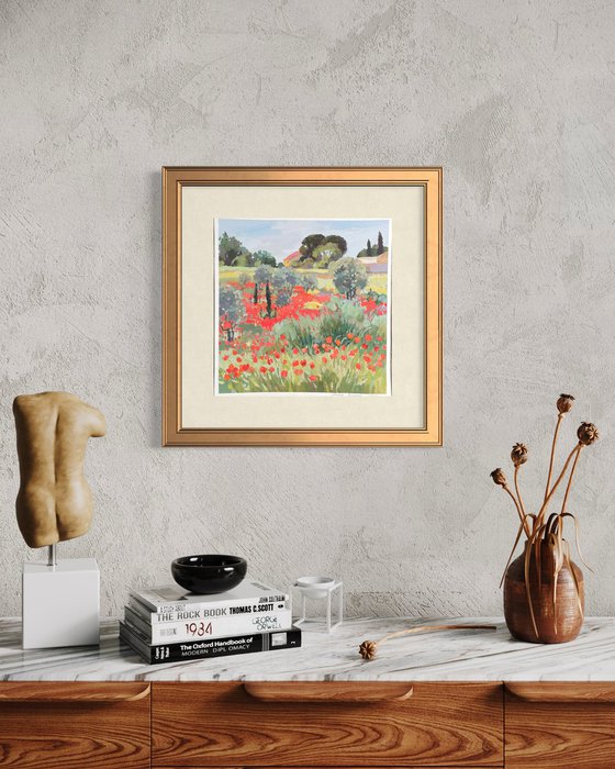 Olive trees in the poppy field . Occitanie.