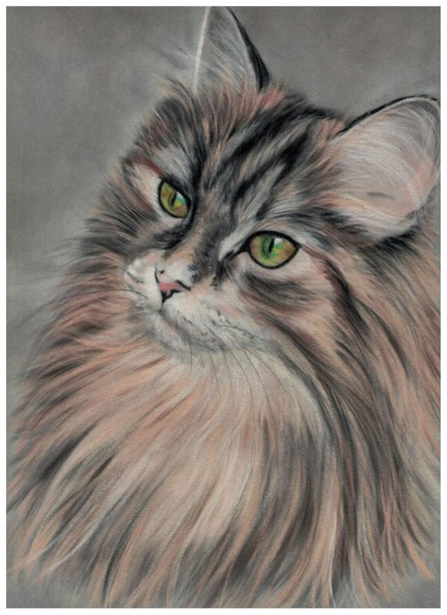 Pastel drawing on velour ,, Cat'' by Deimante Bruzguliene