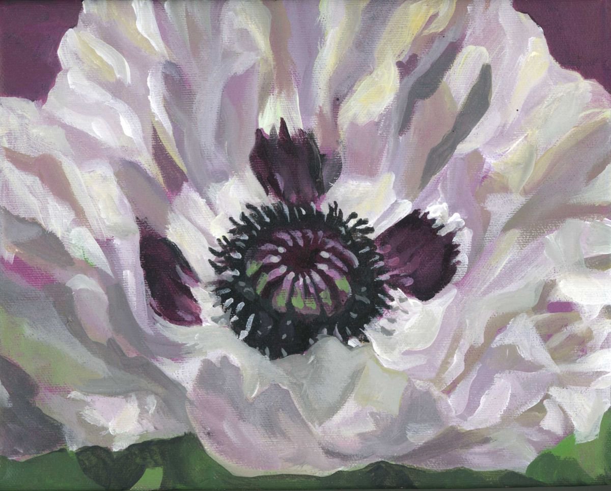 Impressionistic Botanical Acrylic Painting By Alfred Ng, 10 X 8, White Poppy, Original Artwork