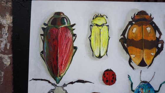 "Entomological insect collection №1" Painting by Anastasia Balabina Original oil painting